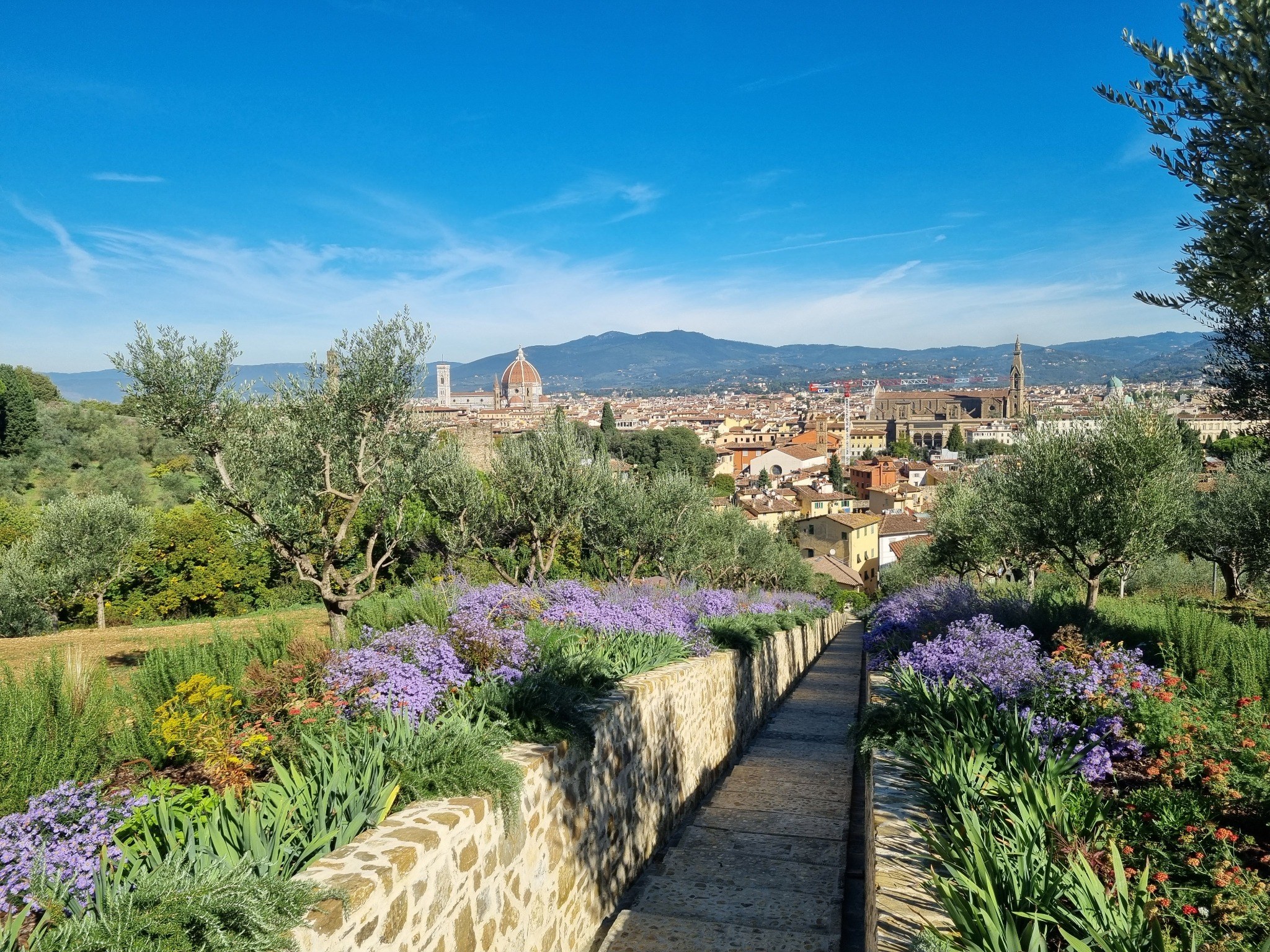 Frontera Gardens landscape overlooking Florence