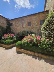 Borgo San Felice garden 2