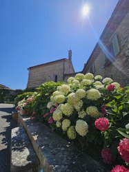 Borgo San Felice garden 4
