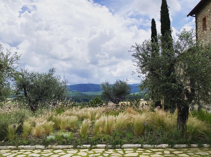 Casali di Casole Project 02 garden 3