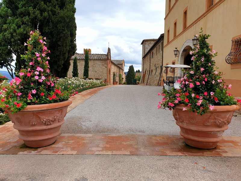 Castello di Casole garden 10