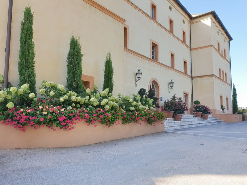 Castello di Casole garden 11