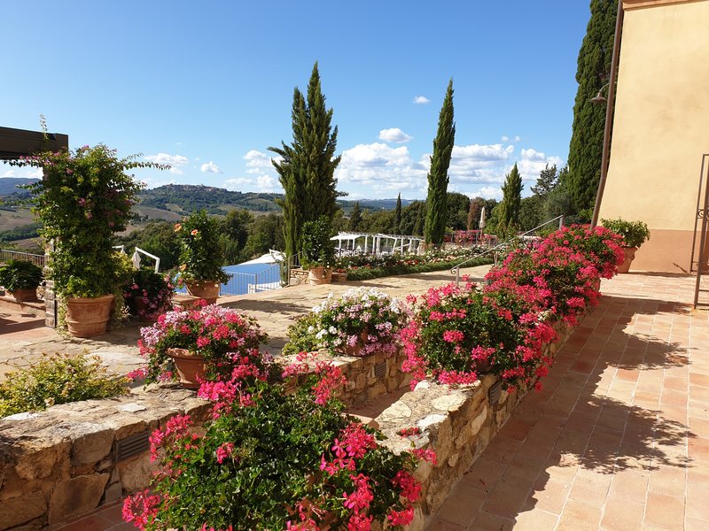Castello di Casole garden 2
