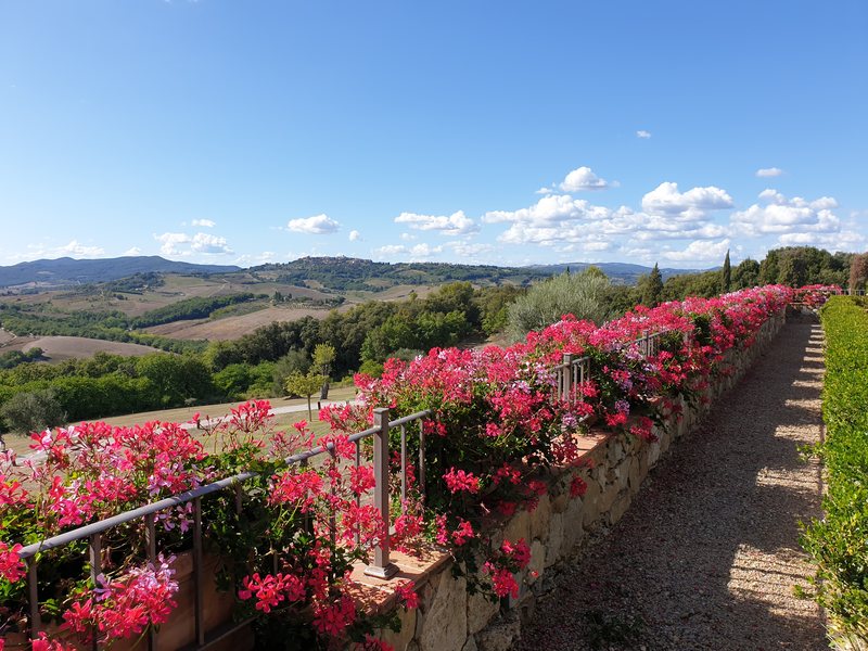 Castello di Casole garden 3