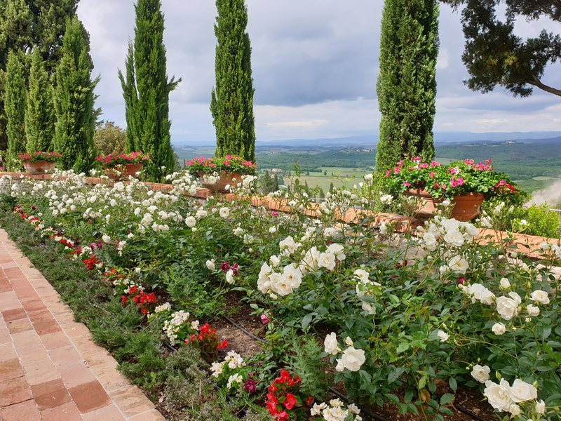 Castello di Casole garden 4
