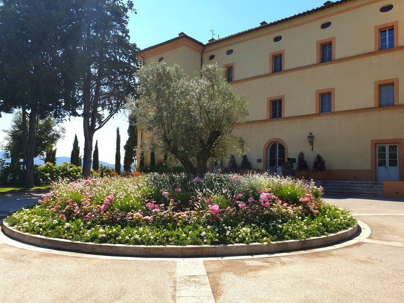 Castello di Casole garden 5