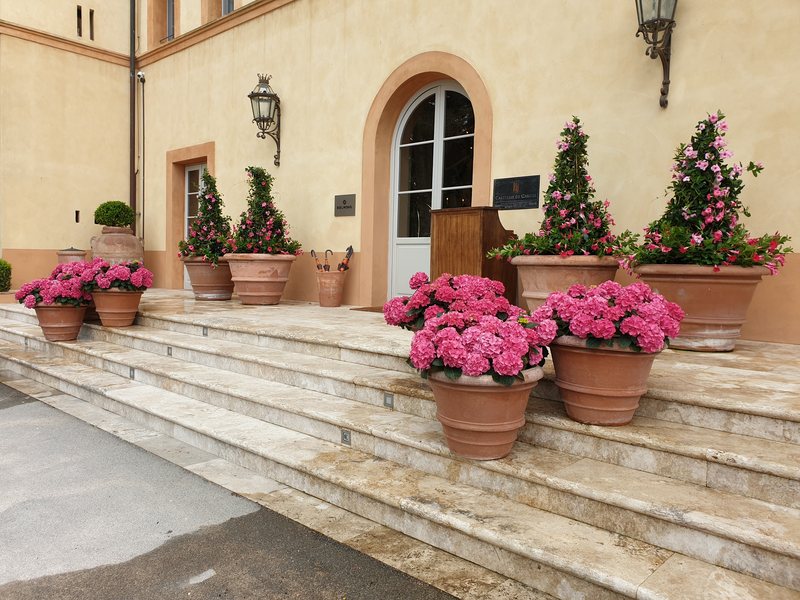 Castello di Casole garden 8