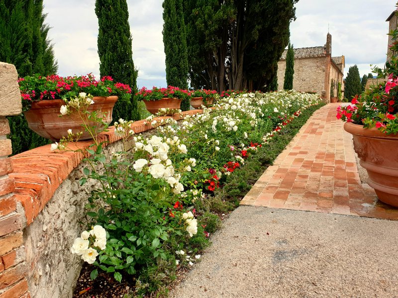Castello di Casole garden 9