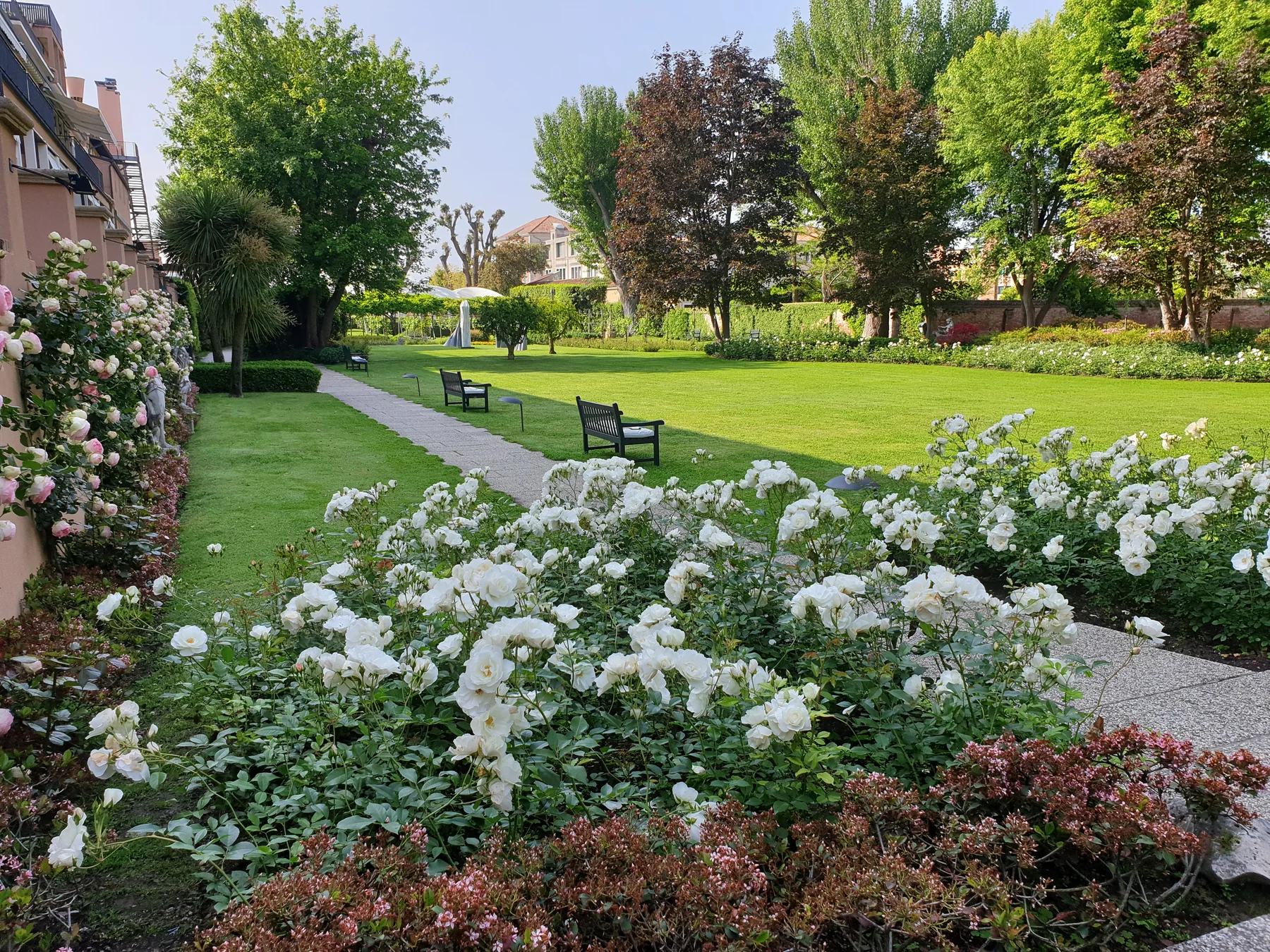 Hotel Cipriani landscape project