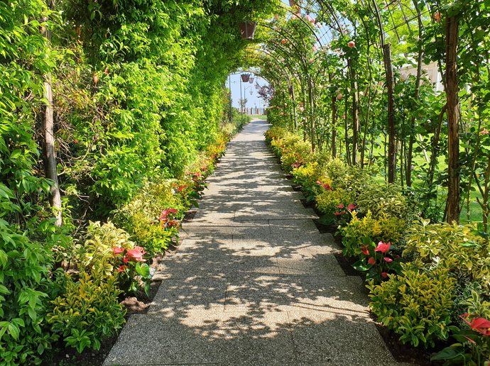Hotel Cipriani garden pergola path