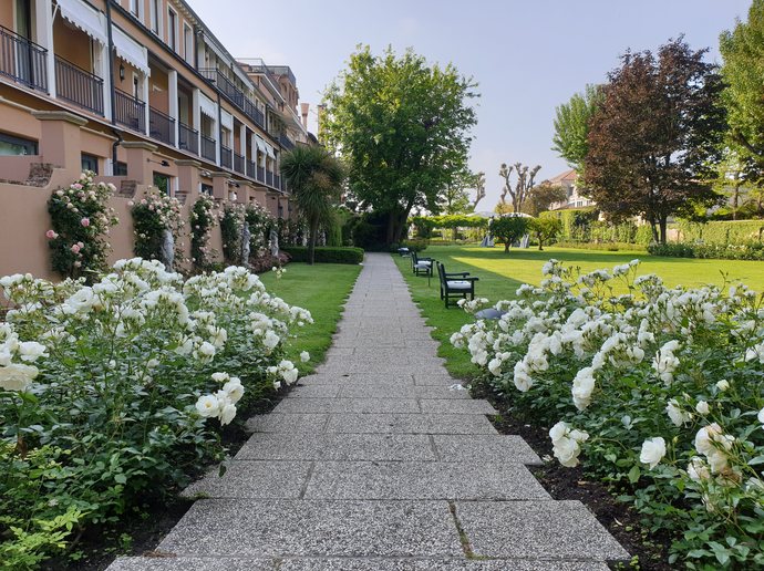 Hotel Cipriani rose garden