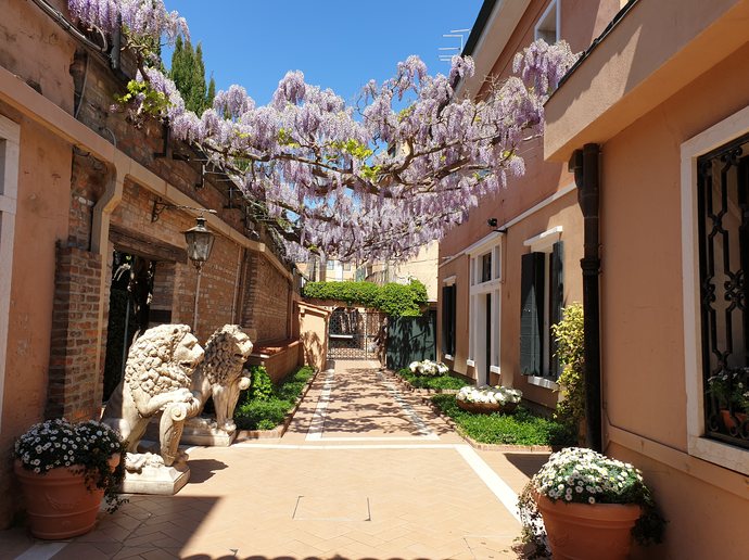 Hotel Cipriani wisteria courtyard