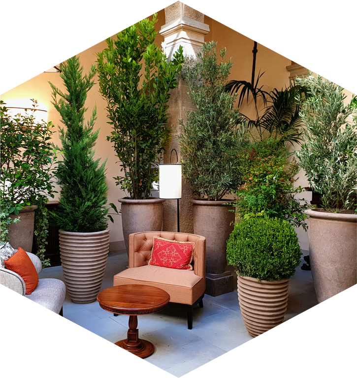 Orangerie