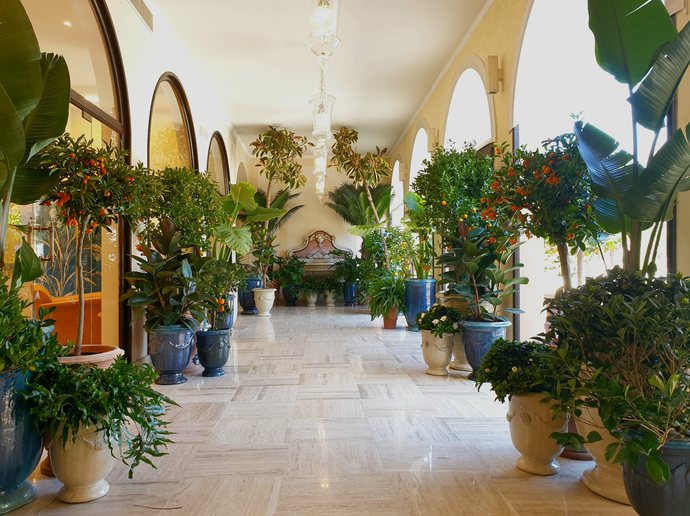 Orangerie at Hotel Cipriani, Venice - citrus gallery
