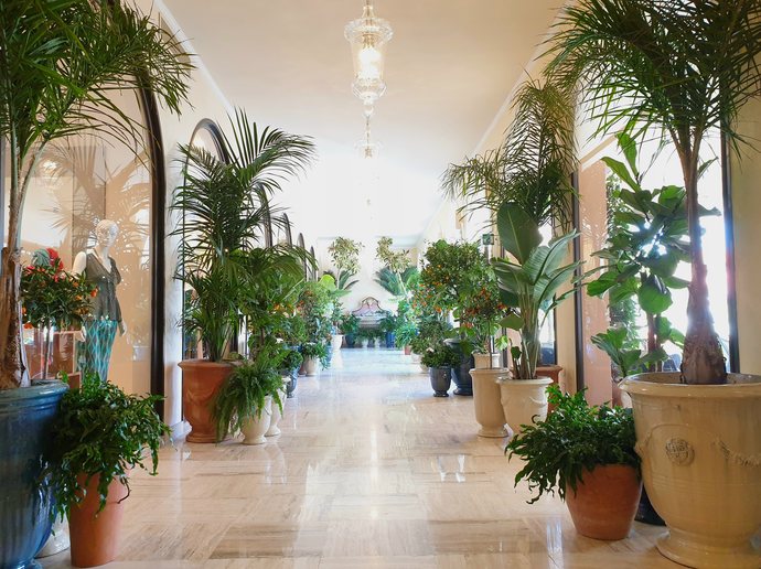 Orangerie at Hotel Cipriani, Venice - planted corridor