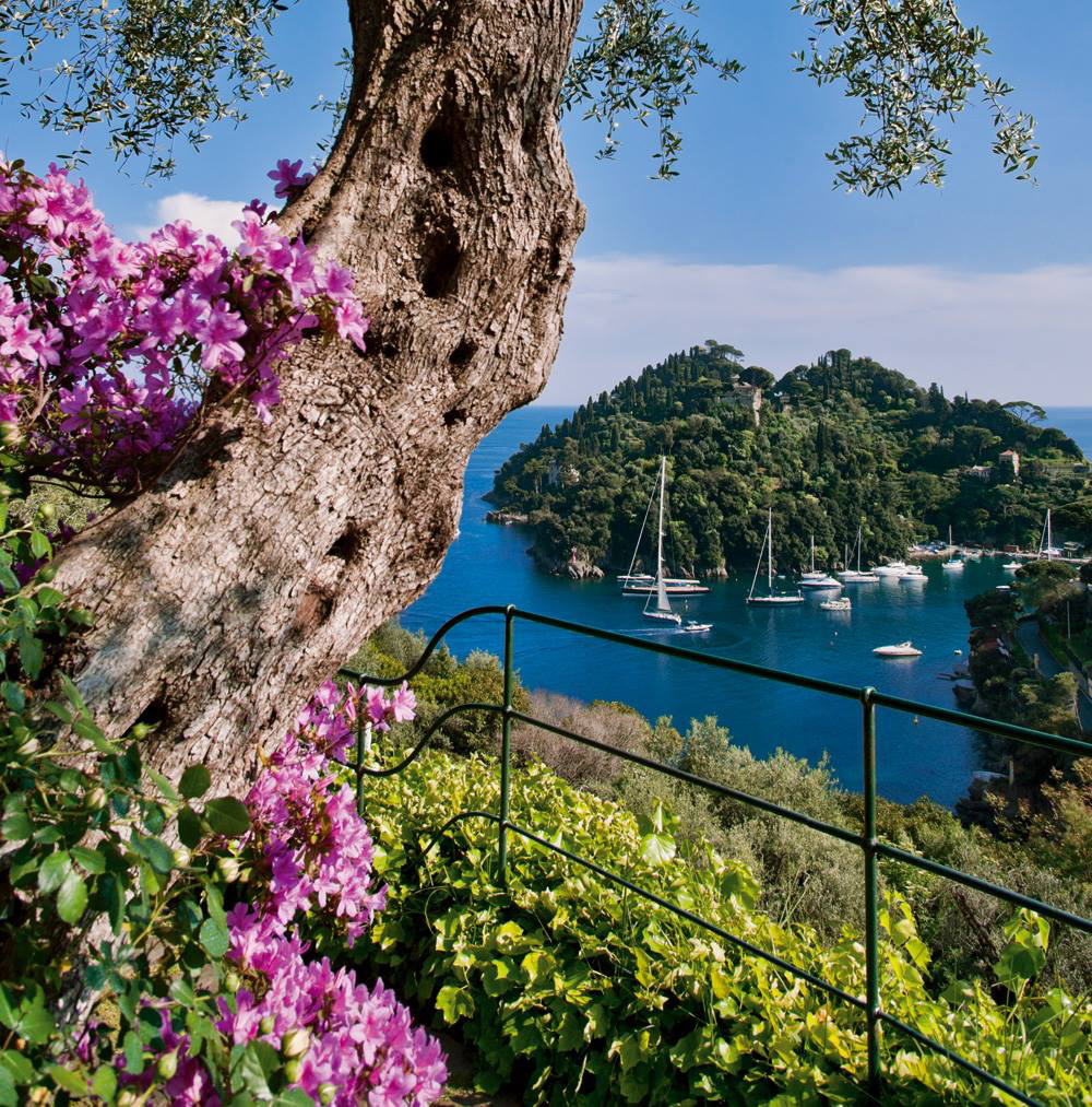 Hotel Splendido landscape project