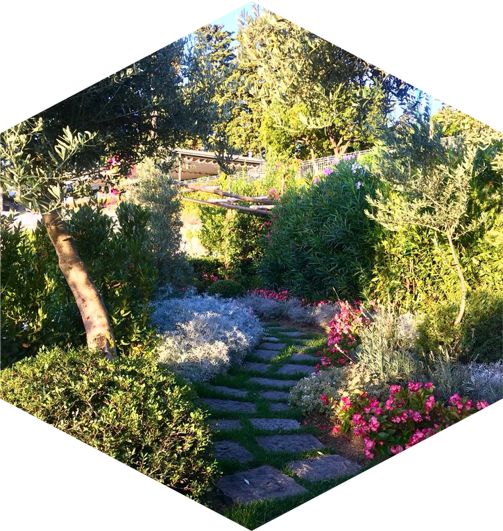 Progetto paesaggistico di Villa Margherita a Ravello