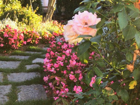 Bordura di rose e piante fiorite a Villa Margherita