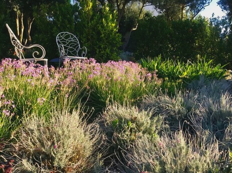 Vegetazione mediterranea e area di seduta nel giardino di Villa Margherita