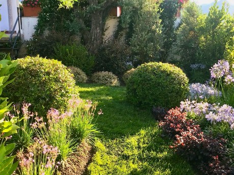 Vegetazione mediterranea nel giardino di Villa Margherita